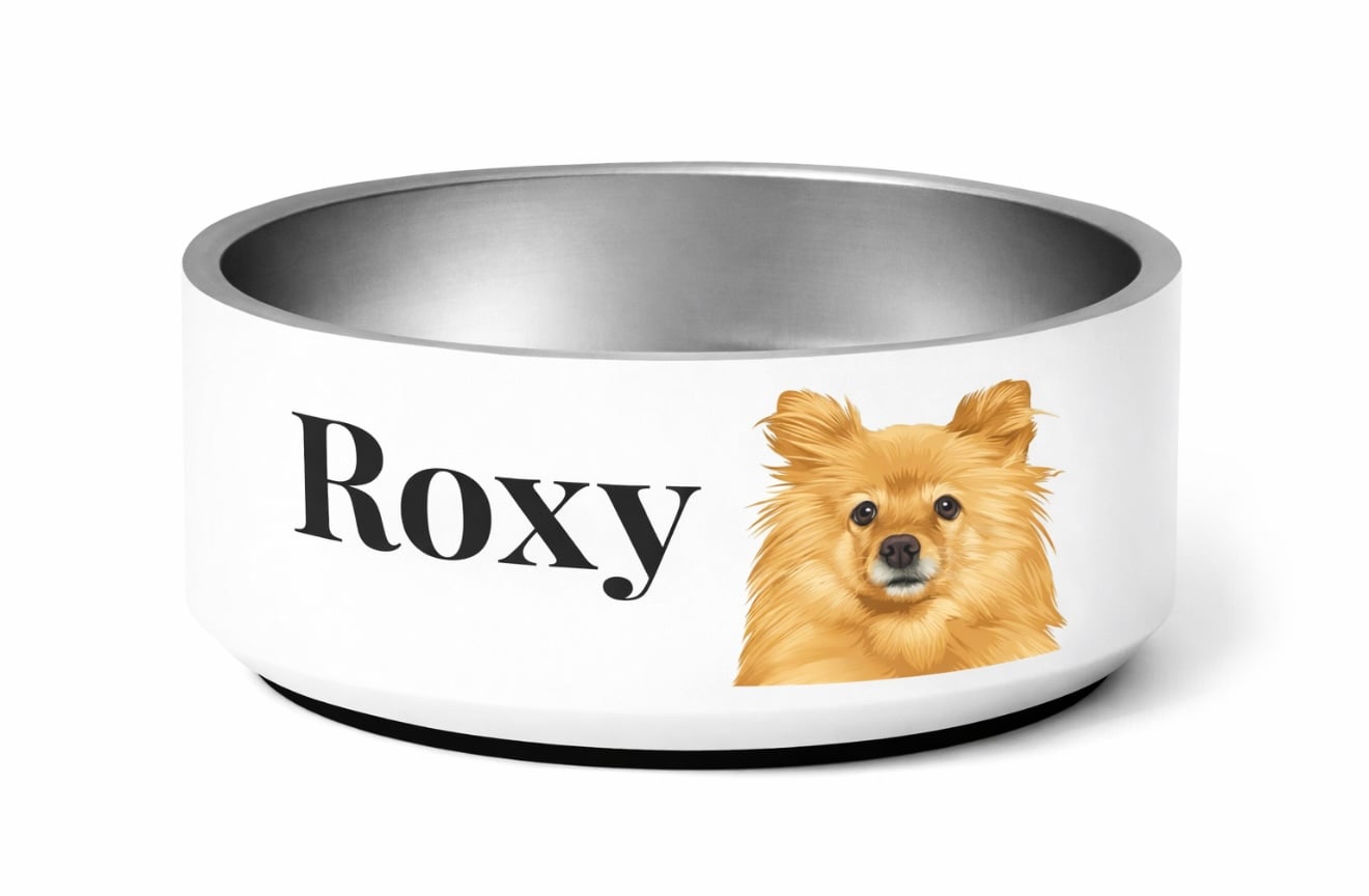 Pet Bowl - Image 2