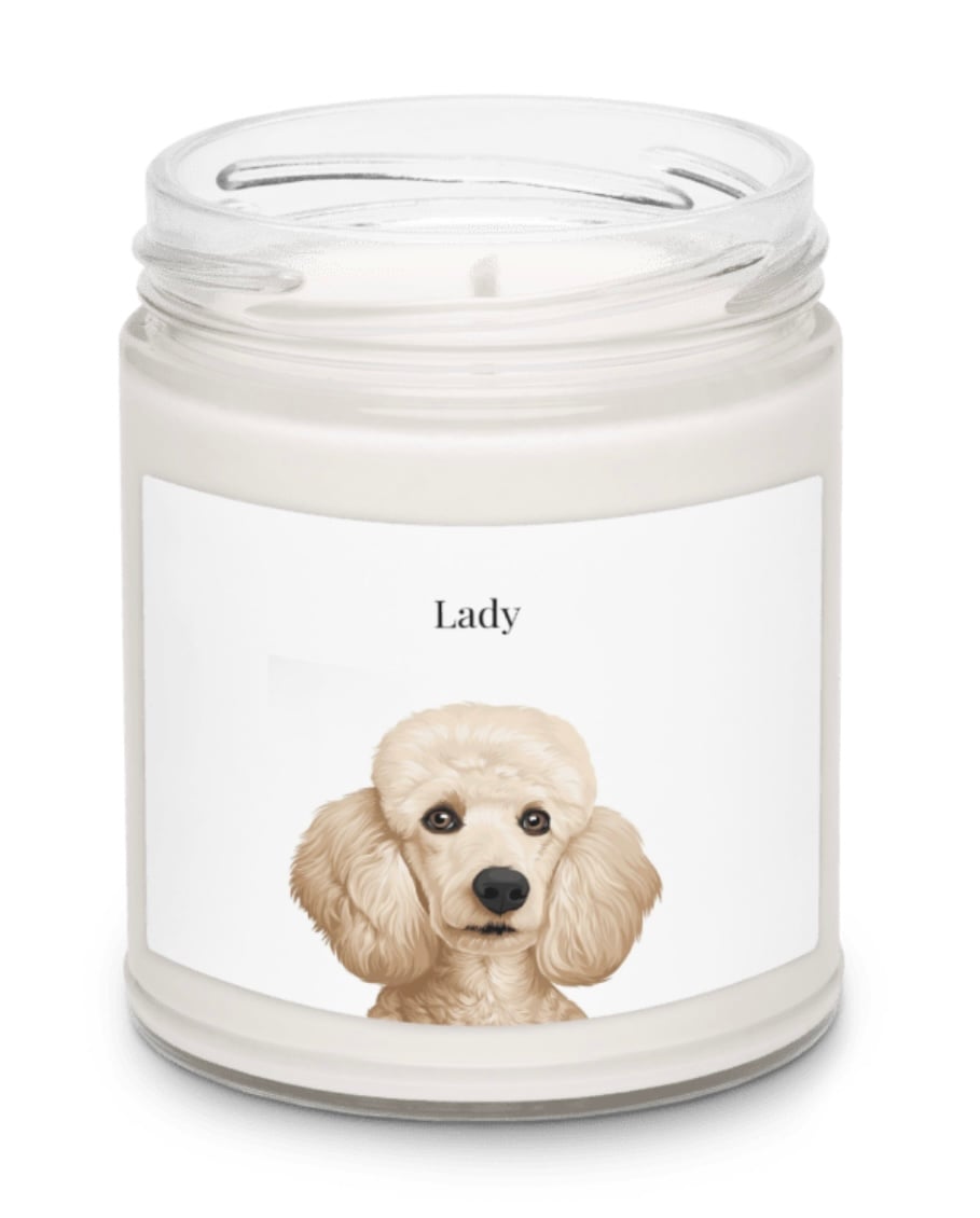 Candle
