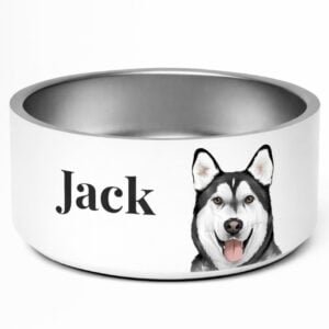 Pet Bowl